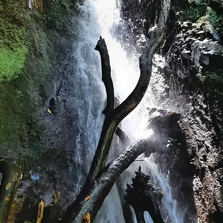 度假居 Casa Da Guida 滨海保尔