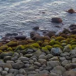 Casa Da Guida Paul do Mar (Madeira)