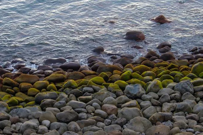Casa Da Guida Paul do Mar (Madeira)